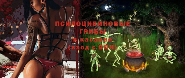 PSILOCYBIN Лихославль