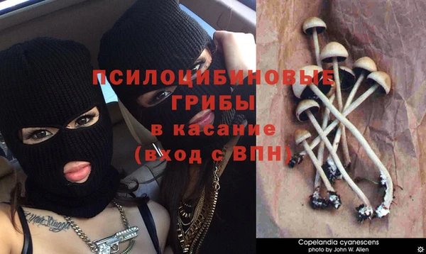 соль курить ск Лагань