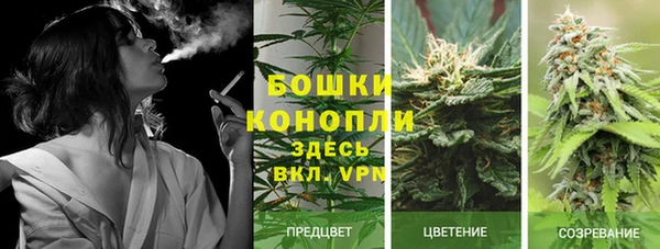 PSILOCYBIN Лихославль
