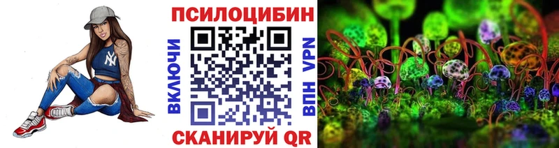 Галлюциногенные грибы Psilocybe Невельск
