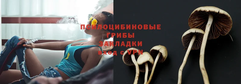 Псилоцибиновые грибы Magic Shrooms  Невельск 